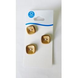 Plastic Buttons