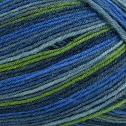 Regia Colour 4ply 100g