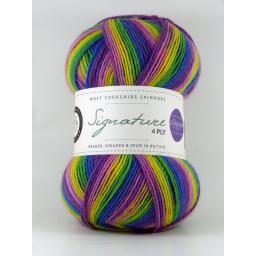 West Yorkshire Spinners Signature 4ply Sock Prints