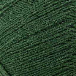 Regia Uni 4ply 100g Solid Colours