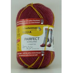 Regia 4ply Pairfect 100g