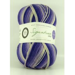 West Yorkshire Spinners Signature 4ply Sock Prints