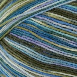Regia Colour 4ply 100g