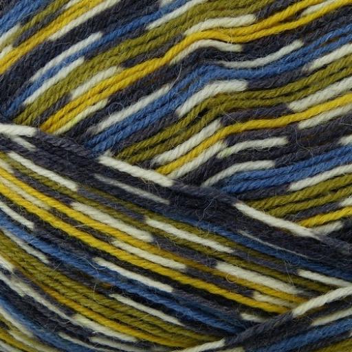 West Yorkshire Spinners Signature 4ply Sock Prints