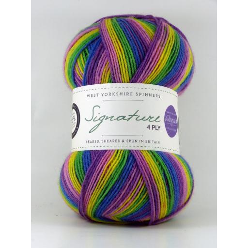 West Yorkshire Spinners Signature 4ply Sock Prints
