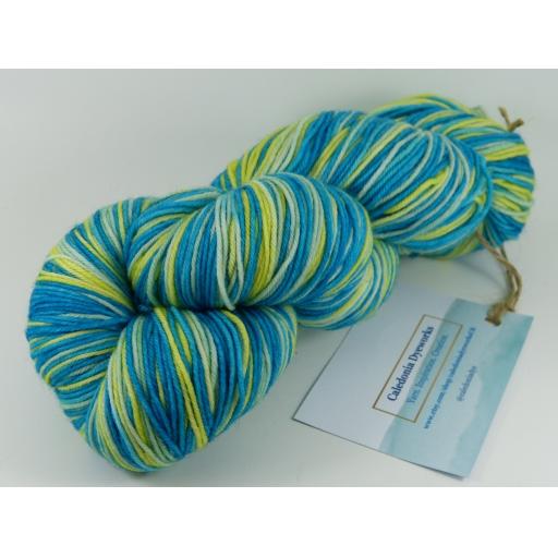 Sutherland Sock 100g