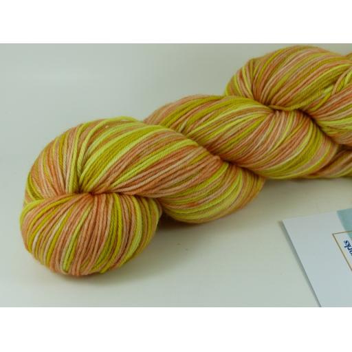 Sutherland Sock 100g