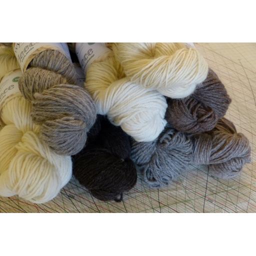 West Yorkshire Spinners Undyed British Breeds DK