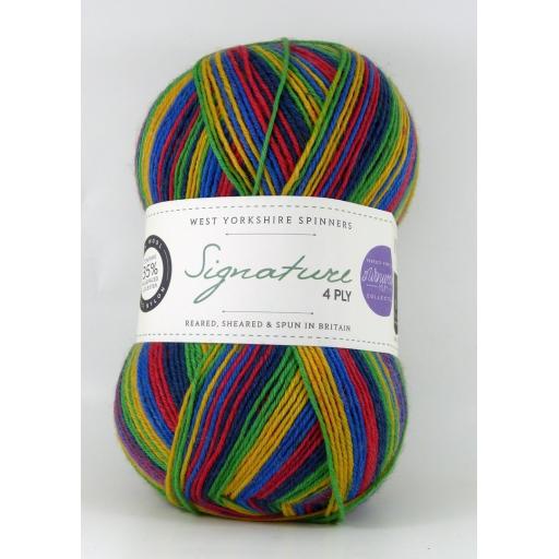 West Yorkshire Spinners Signature 4ply Sock Prints