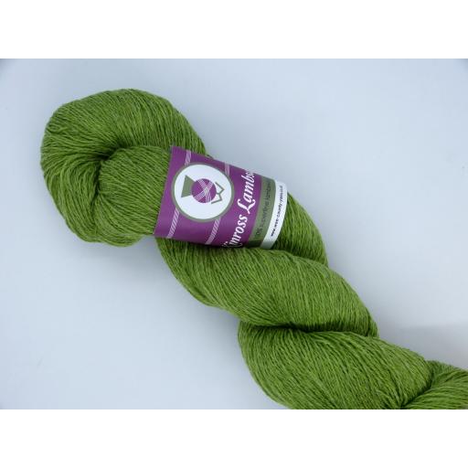 SeaweedLace.jpg