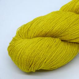 Gorse.jpg